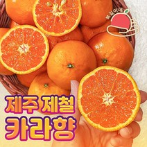 [봄귤1등] 복길이네 제주 카라향 2kg, 1개