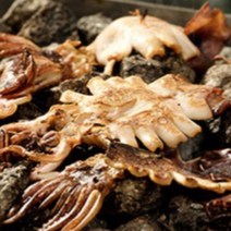 피데기 반건조 오징어 반건 말린 마른 건조 구룡포, 피데기 반건조 5미 550g, 1개