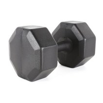 아리프 국산 다이나믹 옥타곤 아령 15kg 1개단품 덤벨, 단품없음