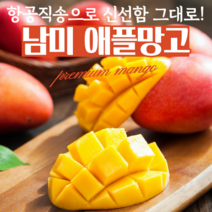 프리미엄 애플망고 수입 과일 설 명절 선물 세트, 애플망고 2kg