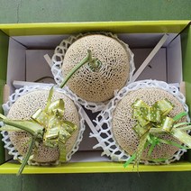 (단아프레쉬) 달콤 달콤 머스크메론, 머스크 메론 8kg (3~4수)