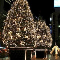 600구 트리전구(웜색)크리스마스전구익일출고, 단품