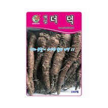 제일 더덕 씨앗 1000립