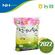 [푸토리] 2022년 햅쌀 부안농협 천년의솜씨 신동진쌀 20kg 당일도정, 1개
