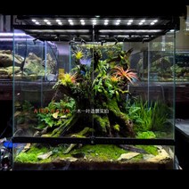 테라리움 테라리움만들기 팔루다리움 미스팅 시스템, 45 45 65 나무 프레임 배송, 1개