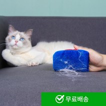 더우지 심플 애견털 청소장갑 강아지 고양이 집청소 머리카락 정리 반려동물 털관리 용품
