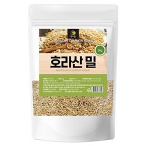 호라산밀 2kg 대용량 터키 정품 오리엔탈밀 원물 100% 카뮤트 쌀 밥 짓기 2022년 햅쌀 잡곡 수퍼푸드 효능 베이킹 샐러드 당뇨에좋은 재료 6000년전고대이집트신비의곡물 추천
