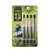 초극세사모 4개입 메디안 송천염 칫솔, 5개