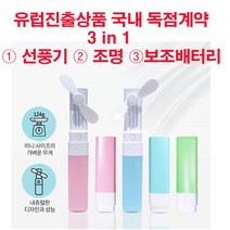 GGTC 유럽진출 국내독점계약 보조배터리가능한 미니포켓립스틱선풍기, 코랄핑크