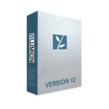 루미온 프로 Lumion Pro 3년 라이선스