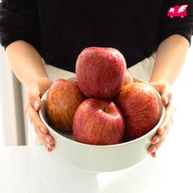경북 문경 청송 부사 사과 선물세트 10kg, 경북사과 10KG(박스)(41~46입) 중과
