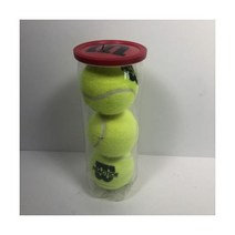 윌슨 Team Practice 테니스 Ball - Can of 3 Genuine