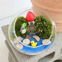 [테르테라] 숲속 연못 테라리움 DIY 키트, 오픈형+3종세트