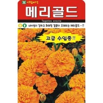 AR 메리골드(오렌지) 씨앗 20립, 1개