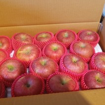 청송사과 5kg, 1box, 실속형 5kg(20과)