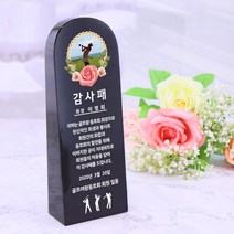 아이상패 ST-21 트로피 우승 감사패 공로패, 1.ST-21-10