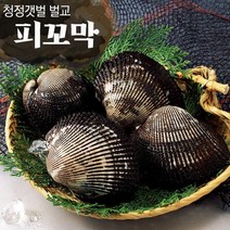 보성 벌교여자만 피꼬막 2kg/3kg 산지직송, 01. 피꼬막 2kg (상품), 상세설명 참조