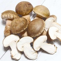 문경 송화고버섯 일반형 1kg 송화 송고 고송, 1개
