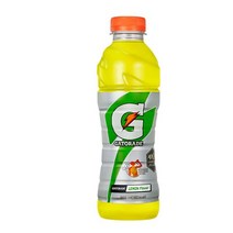 칠성 갈증해소 아미노산 게토레이 레몬 페트 스포츠음료 이온음료 600ML 20개, 25세트