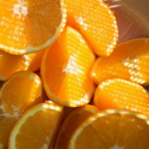 오렌지 가격정보 판매순위