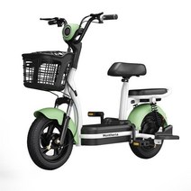 MONTHERIA 고성능 48V 성인 전기 자전거 B918-05, 15A-35/40km, 녹색