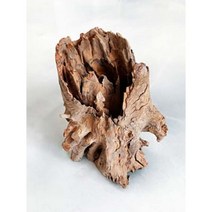 그루터기 유목 소형 15cm - 20cm랜덤(인테리어 화분 레이아웃소재)