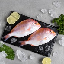 제주직송 제주 황돔 2.4kg[16미내외], 없음