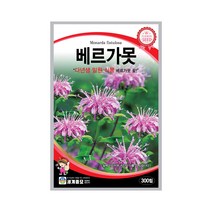 모칸도 (무배)세계 베르가못씨앗(300립)