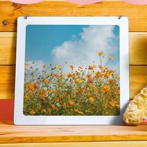 [바보사랑] 행잉액자_황화코스모스(사각중형), 타입:타입1