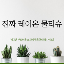 빅사이즈 물티슈 엠보싱 플레인 캡형 60매x5팩 병원용, 엠보싱(더 두꺼움/530g/5팩