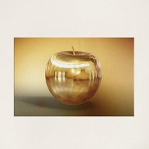 [바보사랑] 아크릴액자_번창의황금사과(대형), 타입선택:2.은색배경