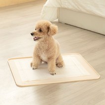 펫트리움 논슬립 실리콘 배변매트 중형 강아지 배변판 화장실, 중형 (60x50cm)