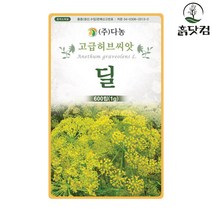 딜 씨앗 1g 일년초 허브 씨앗 향신계 + 네임택, 단품