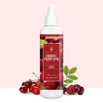 섬유향수 드레스퍼퓸 250ml 블랙체리 - 2022975EA, 쿠팡 1, 쿠팡 본상품선택