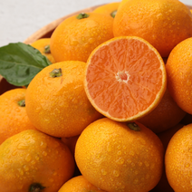 제철진미 당도빵빵 과즙팡팡 제주 하우스감귤 2kg (2박스 구매시 5kg 합배송), 대과(L-SL) 2kg