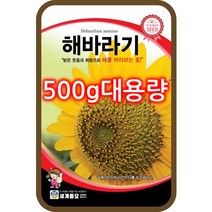 대용량 해바라기 꽃 씨앗 500g 1kg sunflower seed 예쁜 꽃씨 파는곳