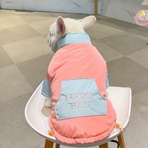 골든독 강아지 럭키패딩 자켓 패딩 점퍼 소형견 중형견 프렌치불독 웰시코기 슈나우저 잉글리쉬불독 착용가능 겨울