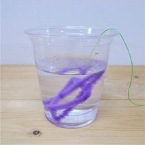 붕사용액 관찰실험 수정 결정만들기 5인 과학기자재 눈꽃피우기 수업용