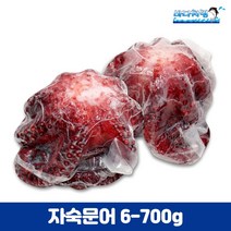 자숙문어 600/700g 필리핀 제수용 문어숙회 삶은문어