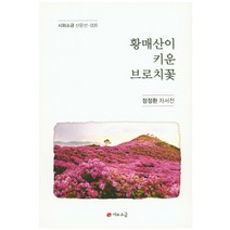 황매산이 키운 브로치꽃:정정환 자서전, 시와소금, 정정환 저