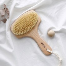 웨신코리아 핸디 바디브러쉬, 없음, 1개, 1개