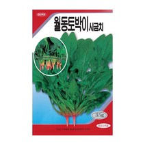 경신종묘 시금치씨앗 월동토박이시금치 35g