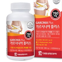 단기다이어트 가르시니아 L-카르니틴 엘 체지방 감소에 도움 분해 112정 약56일