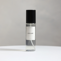 더슈슈아 페브릭 린넨 스프레이 100ml, 오렌지설레던그순간