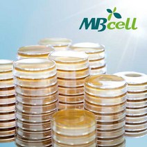 TSA (Tryptic Soy Agar) Rodac Plate/ MBcell 미생물 배지/ 생배지-제조된 배지/ 일반세균-표면균 측정용/ 환경모니터링 배지, 10Ea