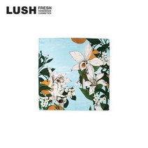 러쉬백화점바닐라리 - 낫랩 895079