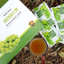 샤인머스켓즙 NFC 착즙 천연 청포도즙 아기 음료 110ml 50포, 샤인머스켓즙(50포)