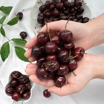 룰루네상점 미국산 생 체리 1kg 고당도 항공직송 로얄사이즈 워싱턴체리