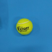 빅토리 테니스공 연습구 허리통증 자세교정 가구쿠션 3개입