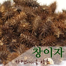 창이자 한국산 300g, 1개